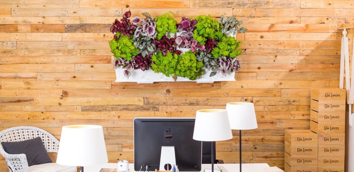 Minigarden függőleges kertedet bárhol elkészítheted.
Minigarden Vertical