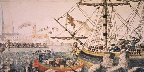 3 növény, amely megváltoztatta a világot